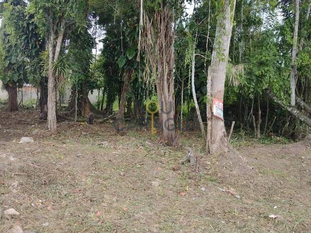 #42 - Área para Venda em Caraguatatuba - SP