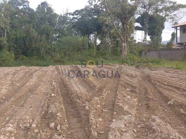 Terreno para Venda em Caraguatatuba - 5